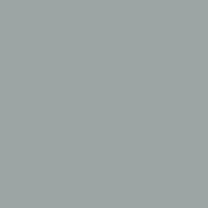 ARGENTIC