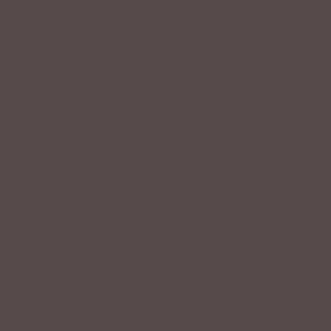 SHANGAI G-BROWN